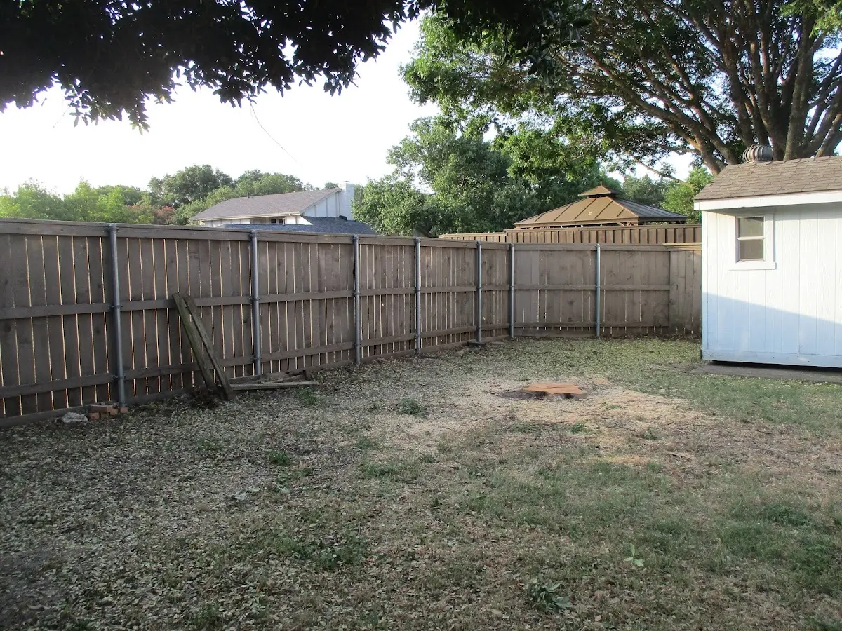 Cleared yard after professional tree removal in Ford Cliff